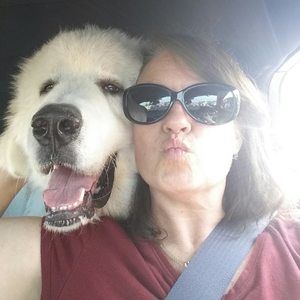 Meet your Posher, Joyce